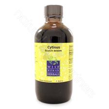 Cytisus scoparius - Scotch broom 4oz Wise Woman Herbals