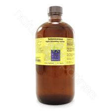 Selenicereus grandiflorus - night-blooming cereus 16oz Wise Woman Herbals