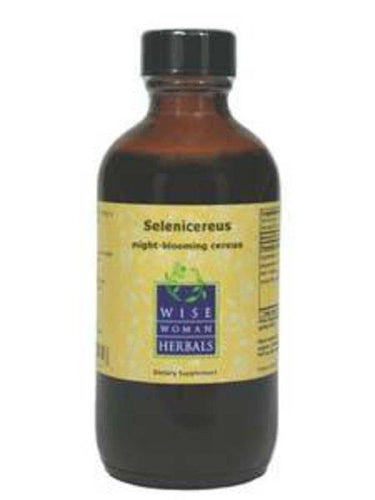 Selenicereus grandiflorus - night-blooming cereus 4oz Wise Woman Herbals