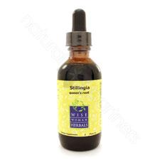Stillingia sylvatica - queen's root 2oz Wise Woman Herbals