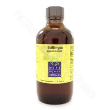 Stillingia sylvatica - queen's root 4oz Wise Woman Herbals
