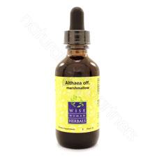 Althaea officinalis - marshmallow 2oz Wise Woman Herbals