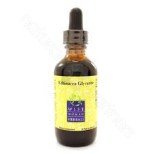 Echinacea Glycerite 2oz Wise Woman Herbals