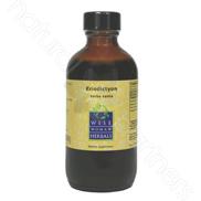 Eriodictyon californicum - yerba santa 4oz Wise Woman Herbals