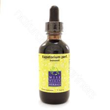 Eupatorium perfoliatum - boneset 2oz Wise Woman Herbals