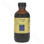Euphrasia stricta - eyebright 8oz Wise Woman Herbals