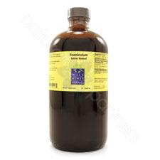 Foeniculum vulgare - bitter fennel 16oz Wise Woman Herbals