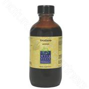 Gentiana lutea - gentian 4oz Wise Woman Herbals