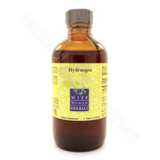 Hydrangea arborescens - hydrangea 4oz Wise Woman Herbals