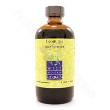 Leonurus cardiaca - motherwort 8oz Wise Woman Herbals