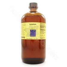 Lomatium disectum 16oz Wise Woman Herbals