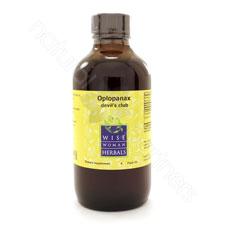 Oplopanax horridus - devil's club 4oz Wise Woman Herbals