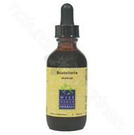 Scutellaria lateriflora - skullcap 2oz Wise Woman Herbals