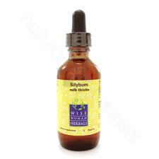 Silybum marianum - milk thistle 2oz Wise Woman Herbals