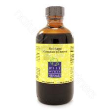 Solidago canadensis - Canadian goldenrod 4oz Wise Woman Herbals
