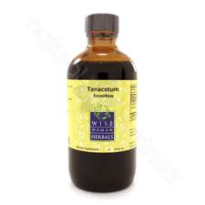 Tanacetum parthenium - feverfew 4oz Wise Woman Herbals