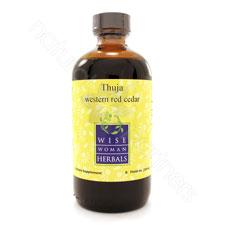 Thuja plicata - western red cedar 8oz Wise Woman Herbals